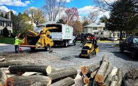 Eastpointe, MI Tree Services Company